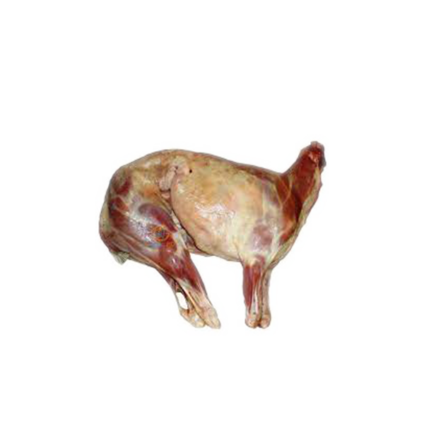 Mutton -Carcass